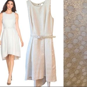 White House Black Market Champagne Jacquard Dress